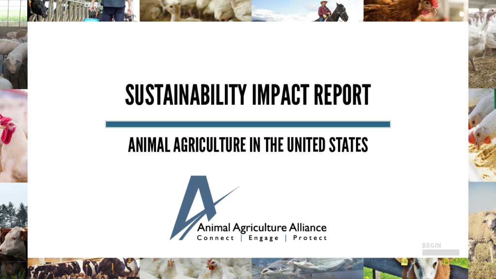 Sustainability Impact Report cover