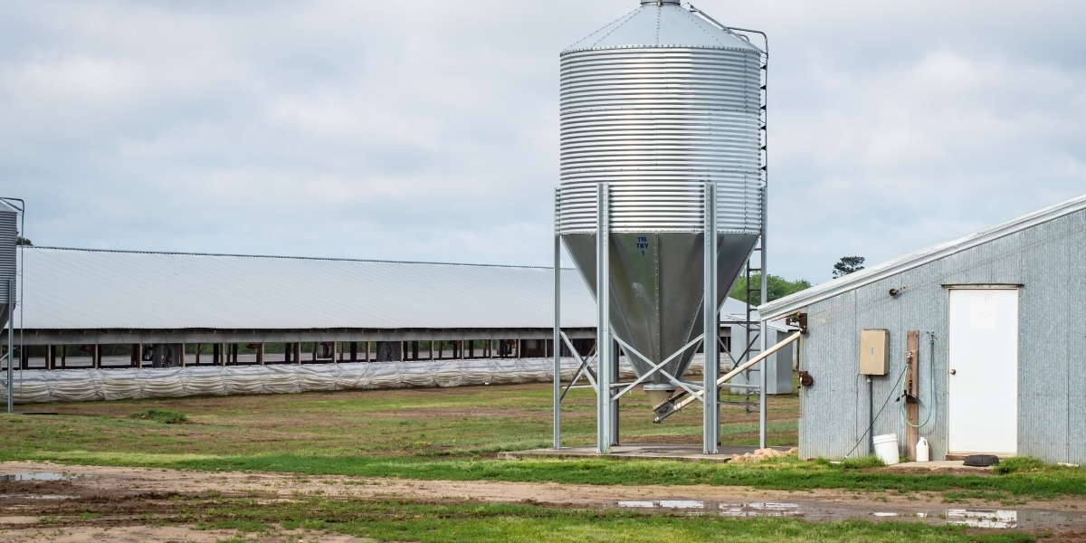 Hog Farm farm