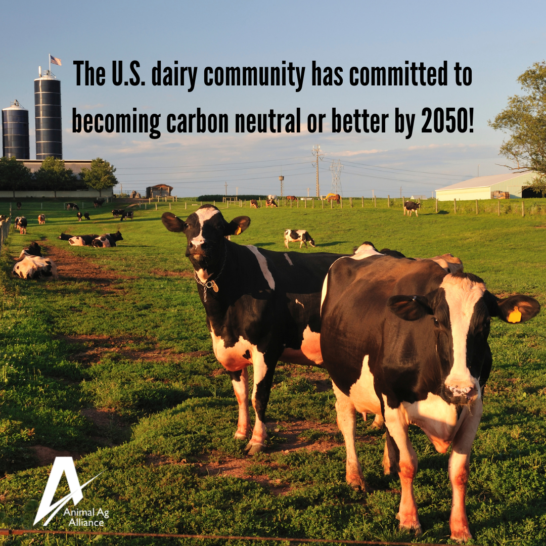 The U.S. dairy community has committed to becoming carbon neutral or better by 2050