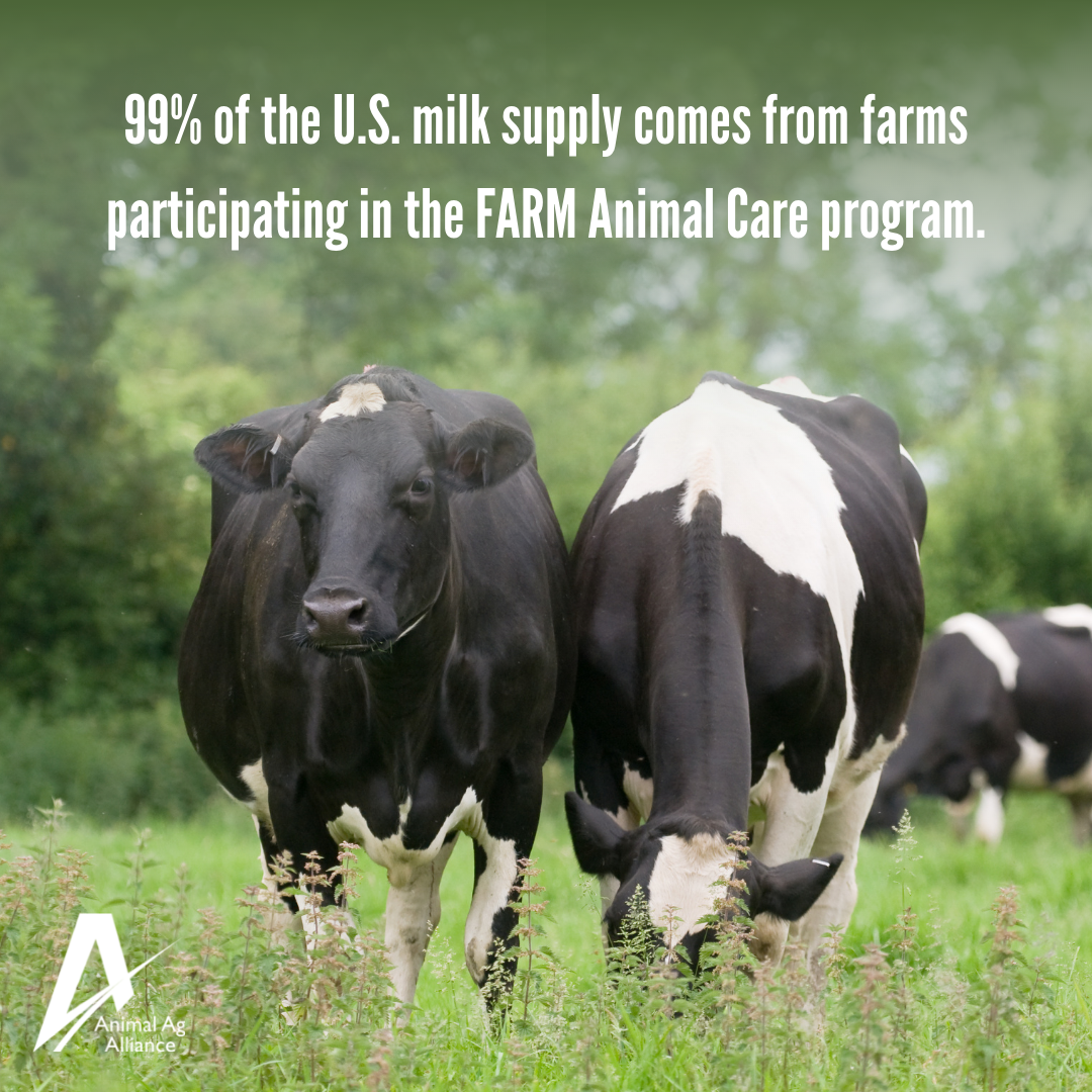 99% of the U.S. milk supply comes from farms participating in the FARM Animal Care Program.