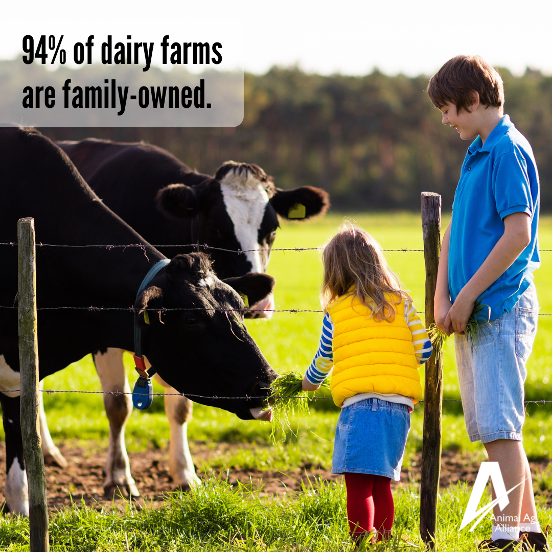 94% of dairy farms are family owned