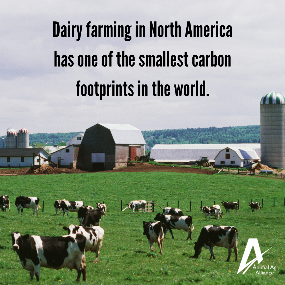 Dairy farming in North America has one of the smallest carbon footprints in the world