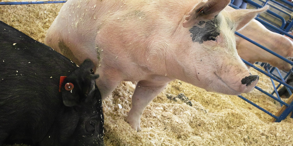 Blog Post, July 31 Picture 1