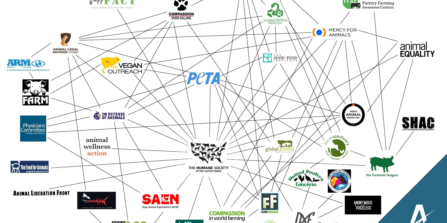 Activist Web Final No Text