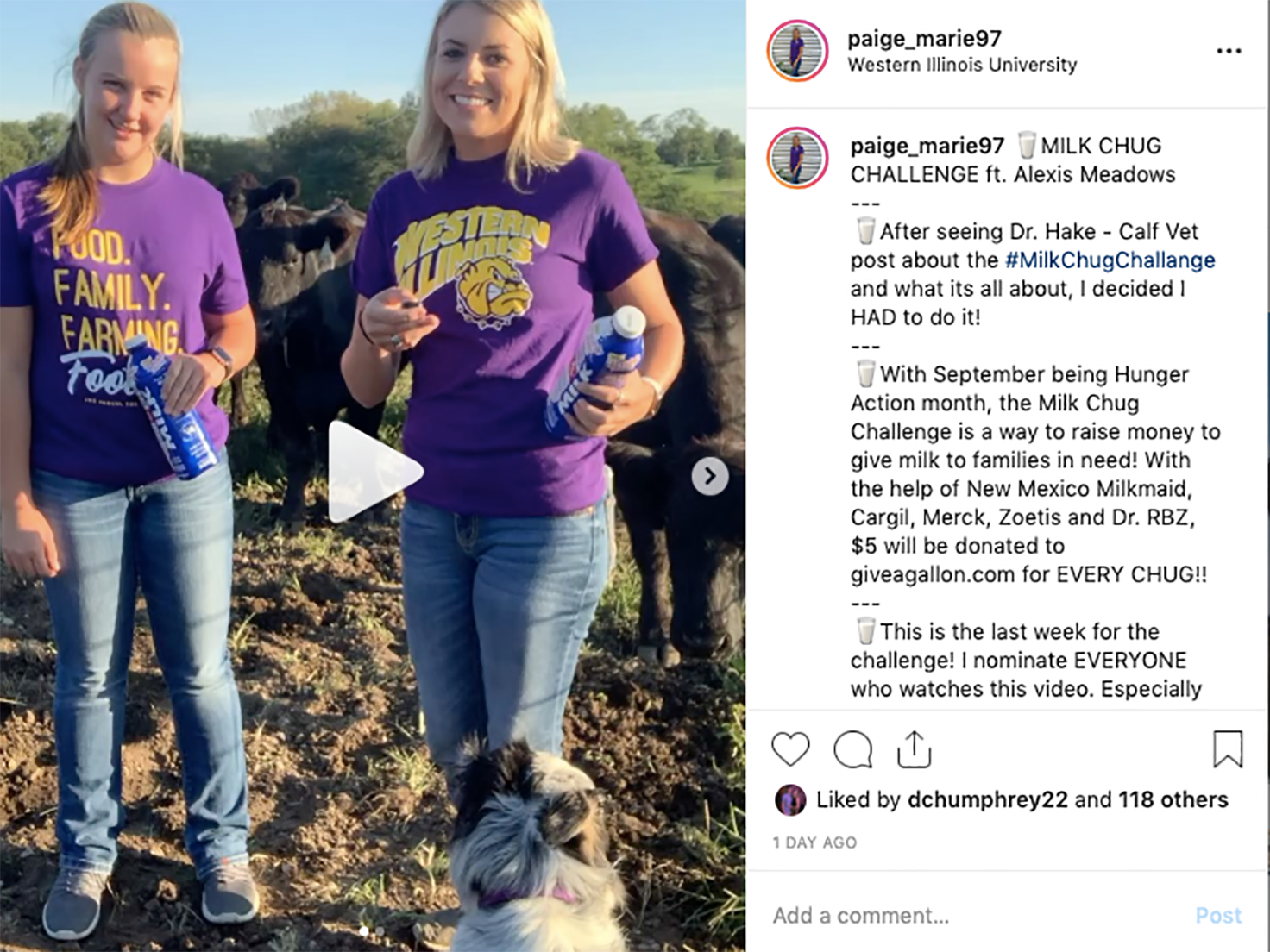 CAO 19 Week 2 Social Dairy 5