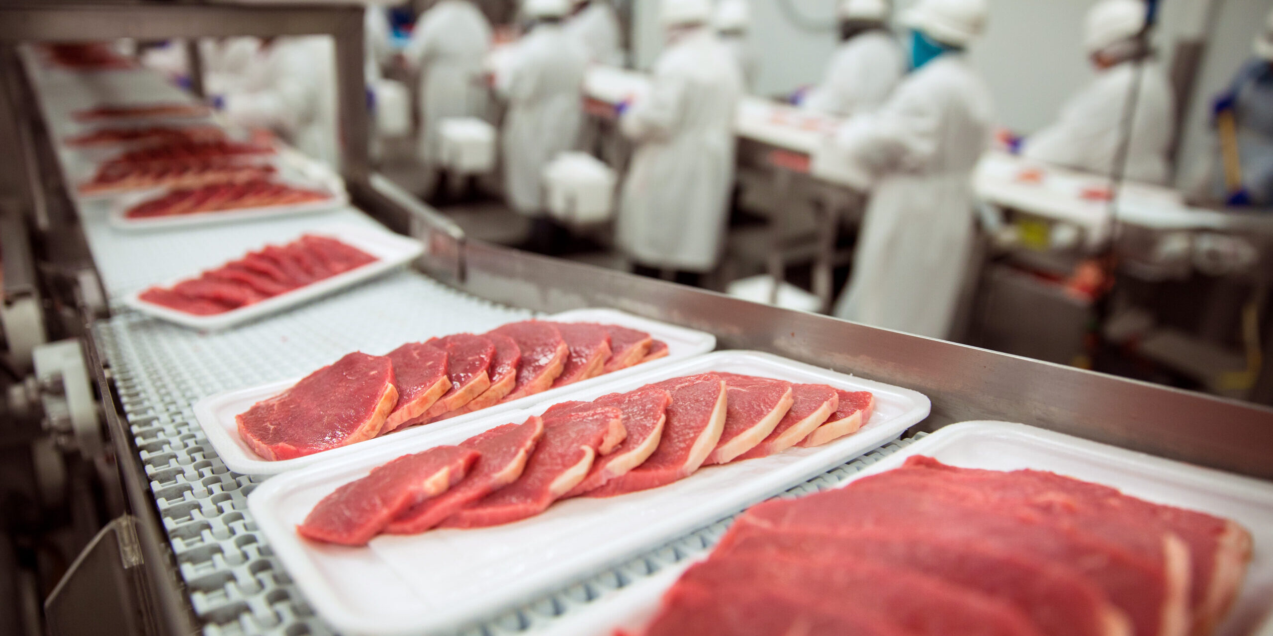 Pork Chops At Handling Factory Packaging Plant Raw Organic