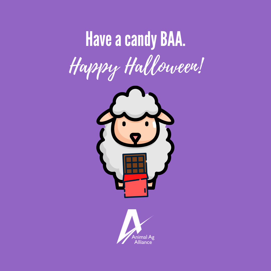 Have a candy Baa. Happy Halloween