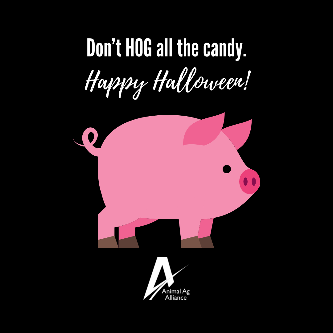 Don't hog all the candy. Happy Halloween.