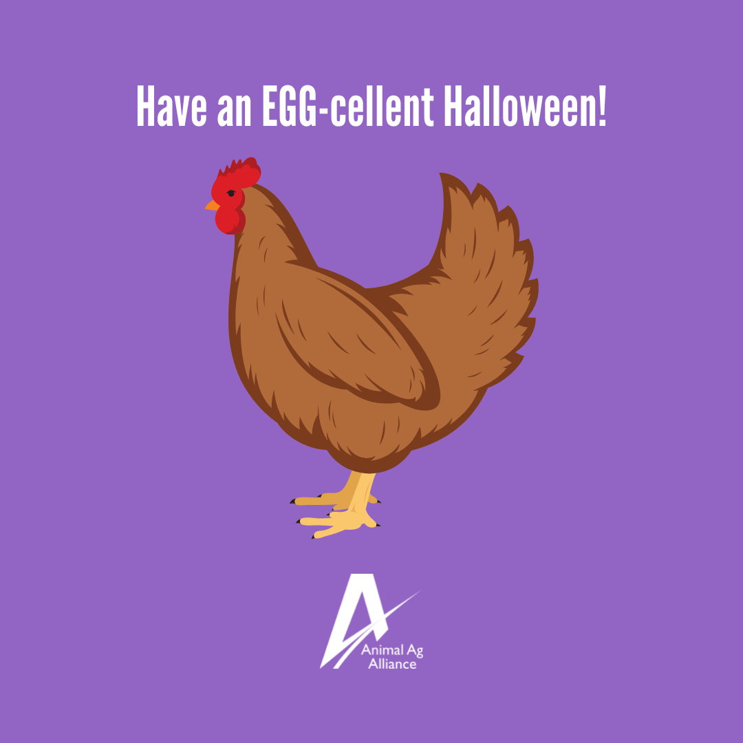 Have an eggcellent Halloween