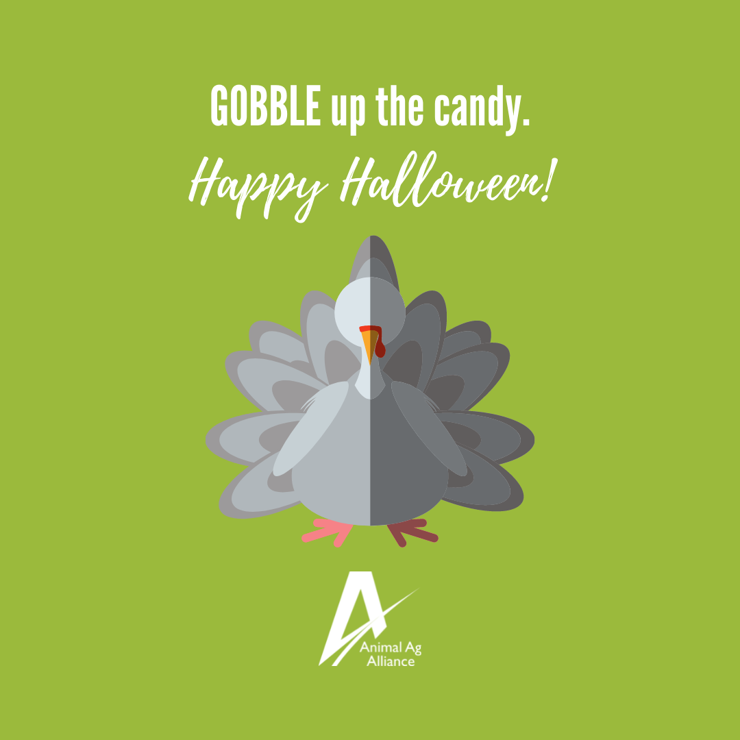 Gobble up the candy. Happy Halloween.