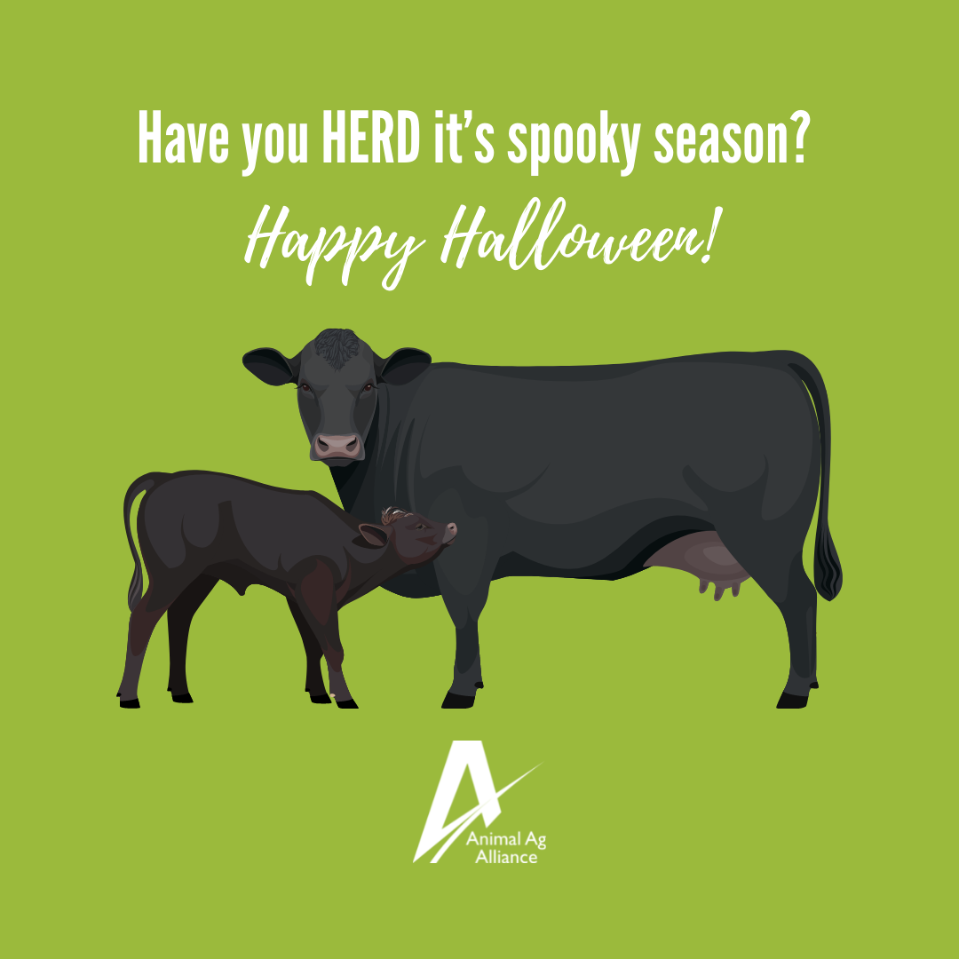 Have you herd it's spooky season? Happy Halloween