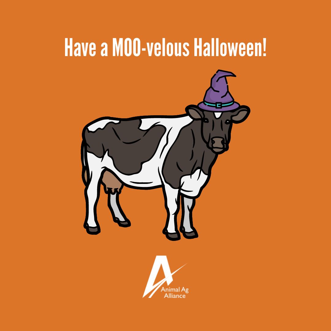 Have a Moo-velous Halloween