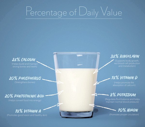 Dairy is a key player in American animal agriculture - and it is packed with nutrients!