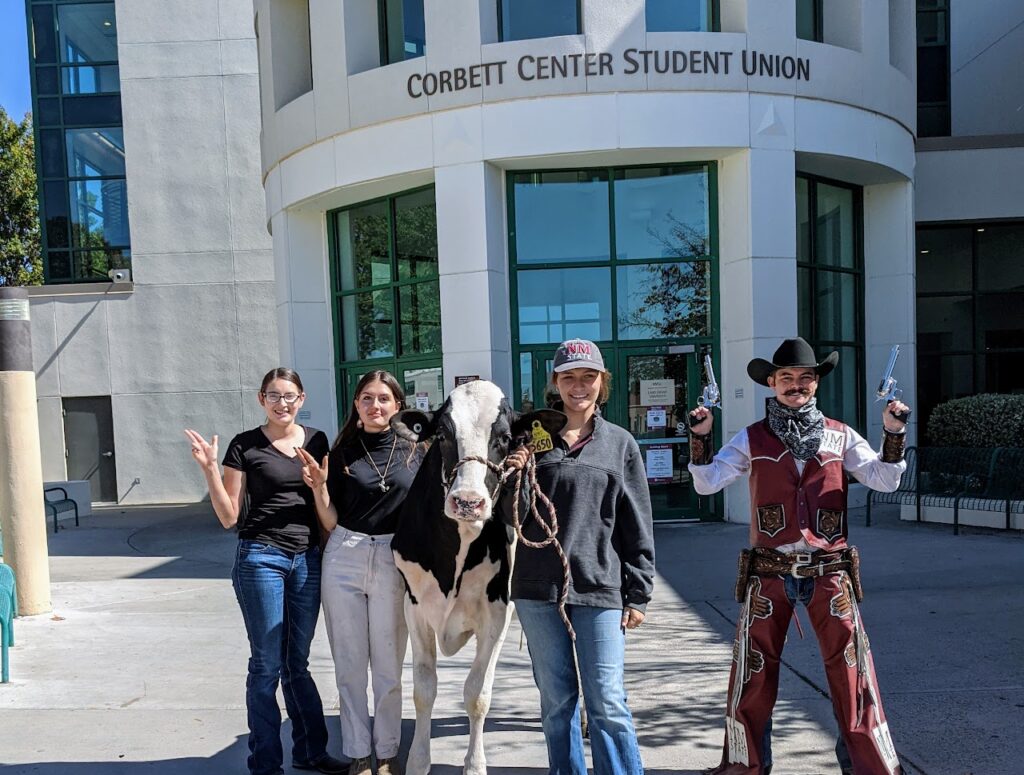 CAO Club with dairy cow in front of student union
