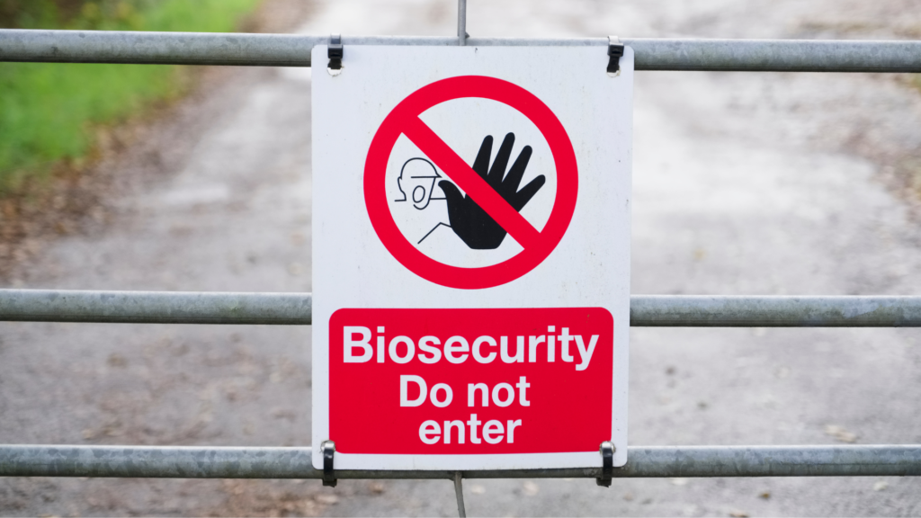 Biosecurity measures prevent diseases from being transferred to people, animals, and properties.