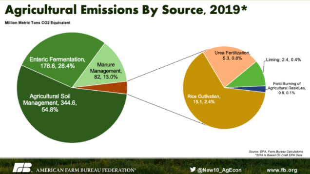 Graphic showing the source of agricultural CO2 emissions in 2019.