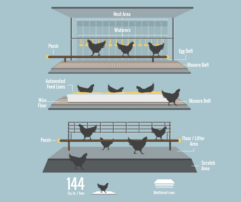 Cage-free aviary housing for hens