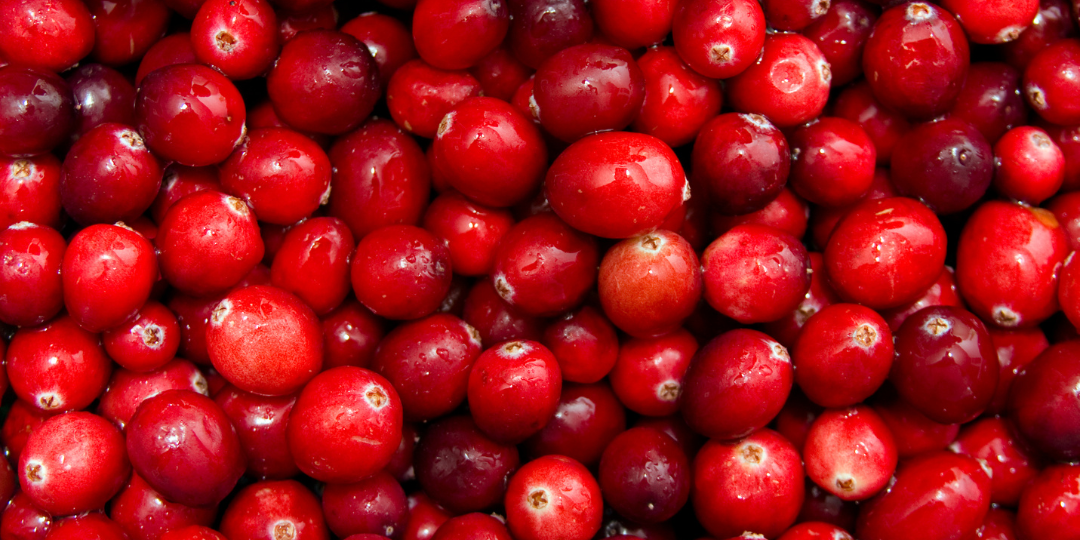 9 facts about cranberries — from nutrition to production - Animal  Agriculture Alliance