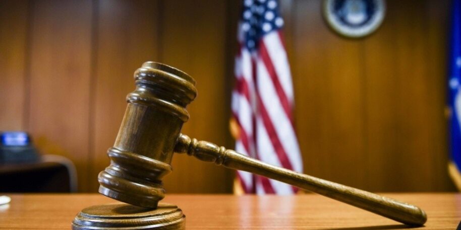 Animal Law Gavel