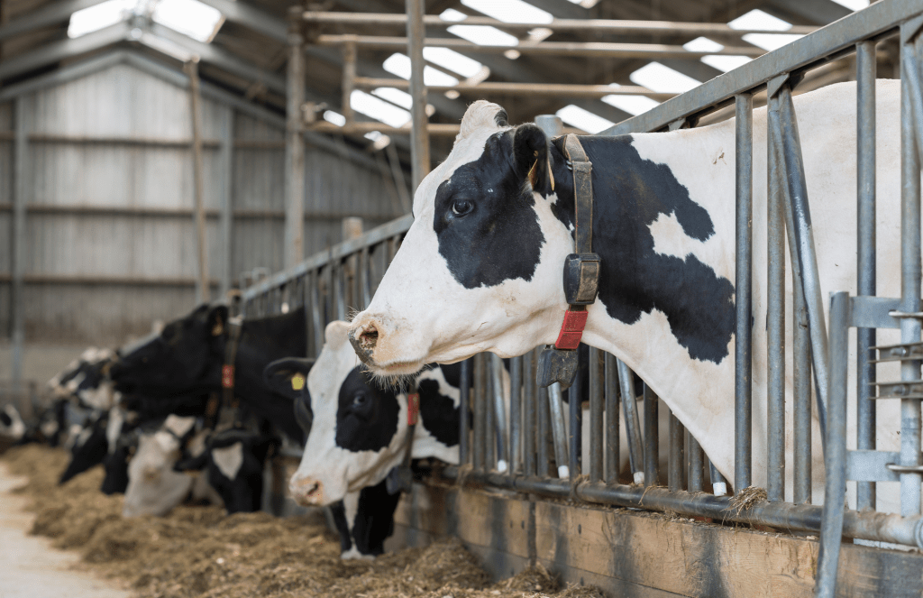 The dairy community is on a path to become more sustainable!