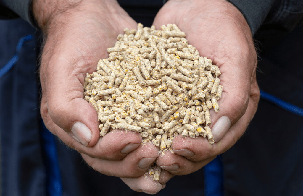 Animal feed works to continually decrease animal agriculture's environmental impact by becoming more sustainable.
