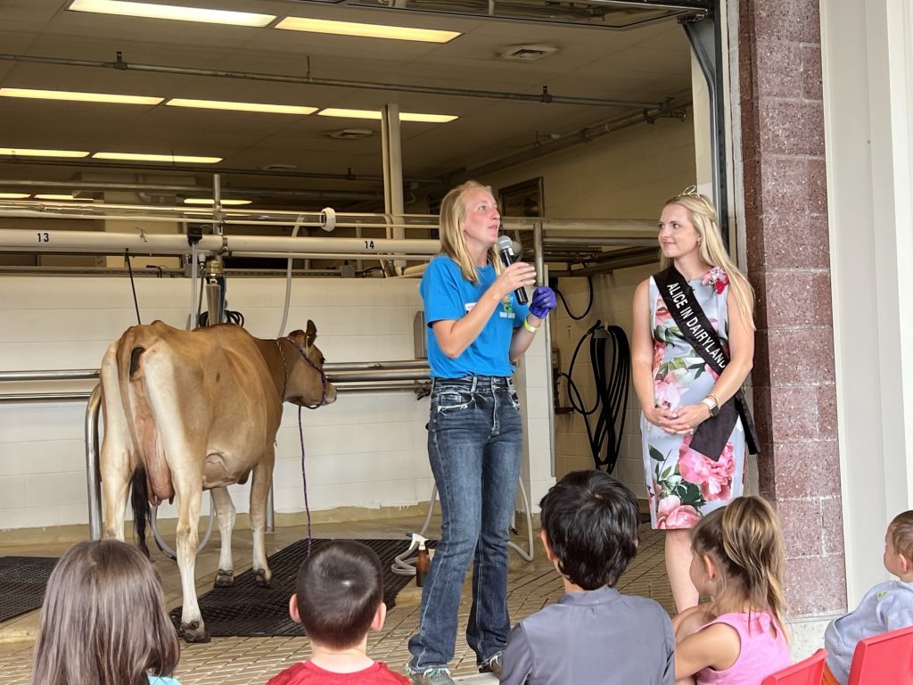 Milking demonstration