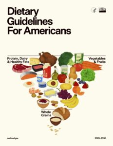2025-2030 Dietary Guideline for Americans Food Pyramid