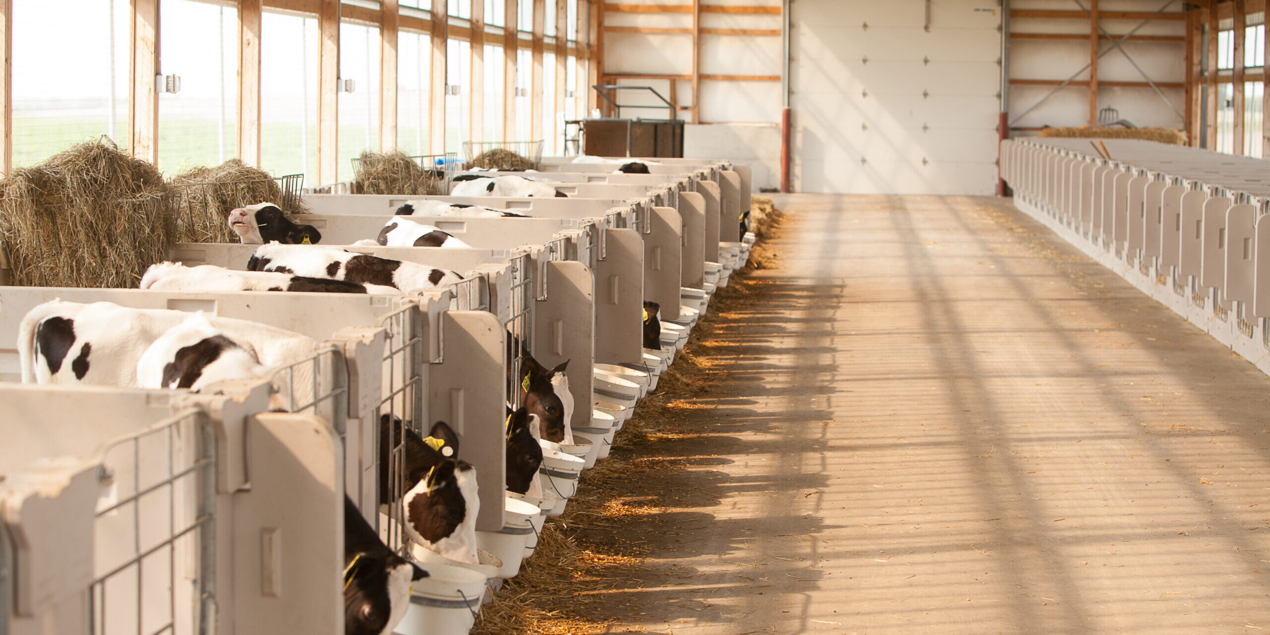 Crave Brothers Farm. Unlimited Usage Rights. September 2020.